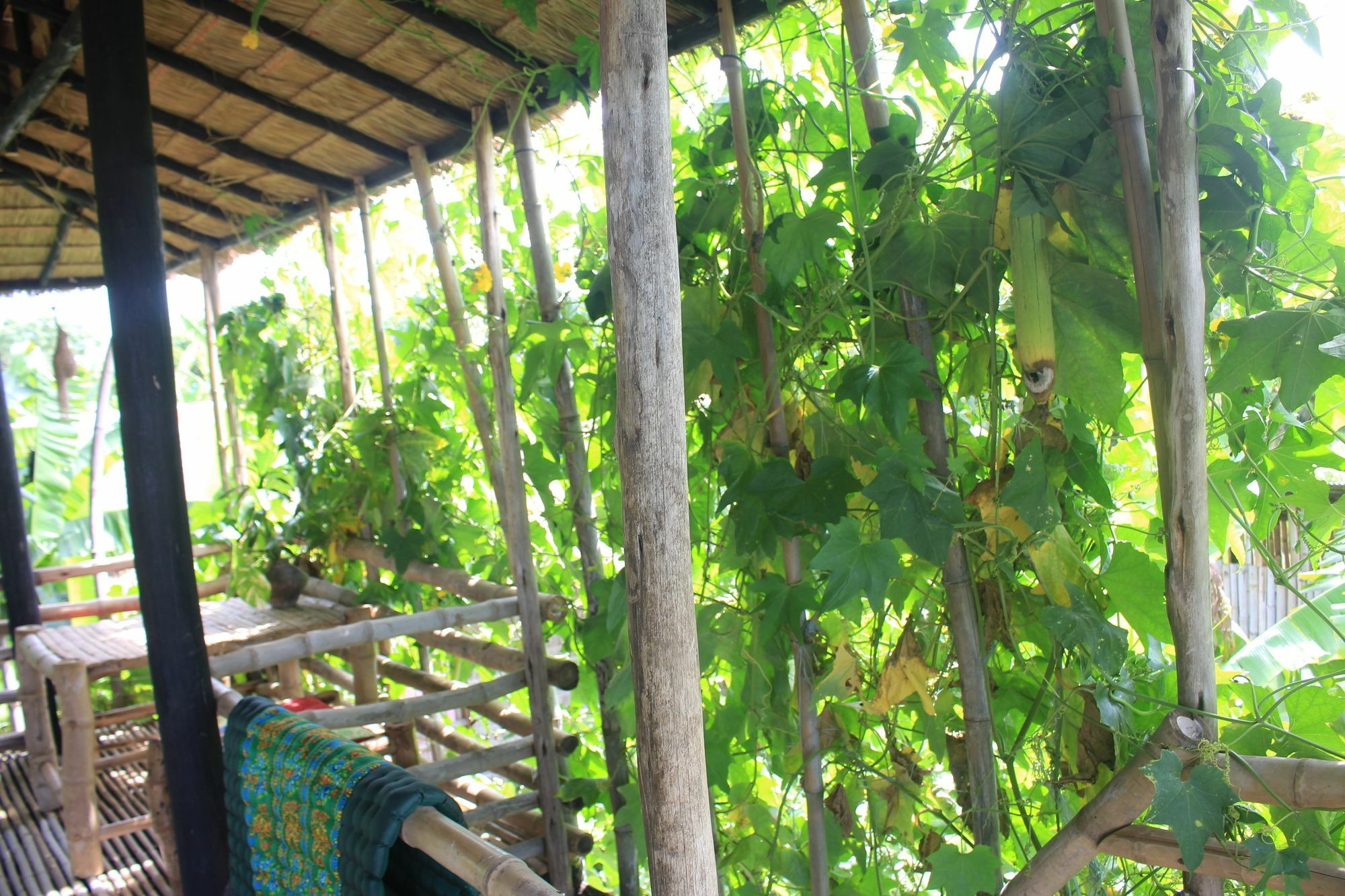 Battambang Dream Bungalows Exteriér fotografie